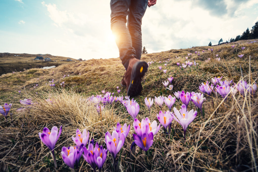 actividad fisica y naturaleza como parte de un detox de primavera saludable