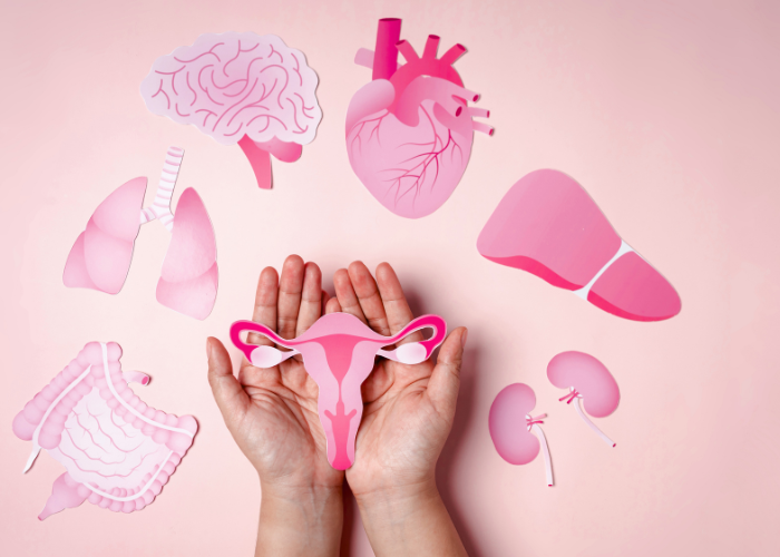 Diarrea durante la regla