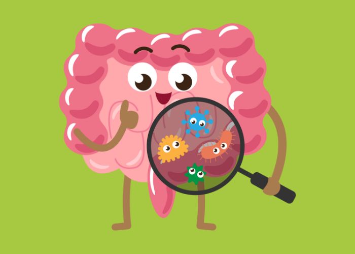 autoimmunerkrankung darm mikrobiom unterstuetzen