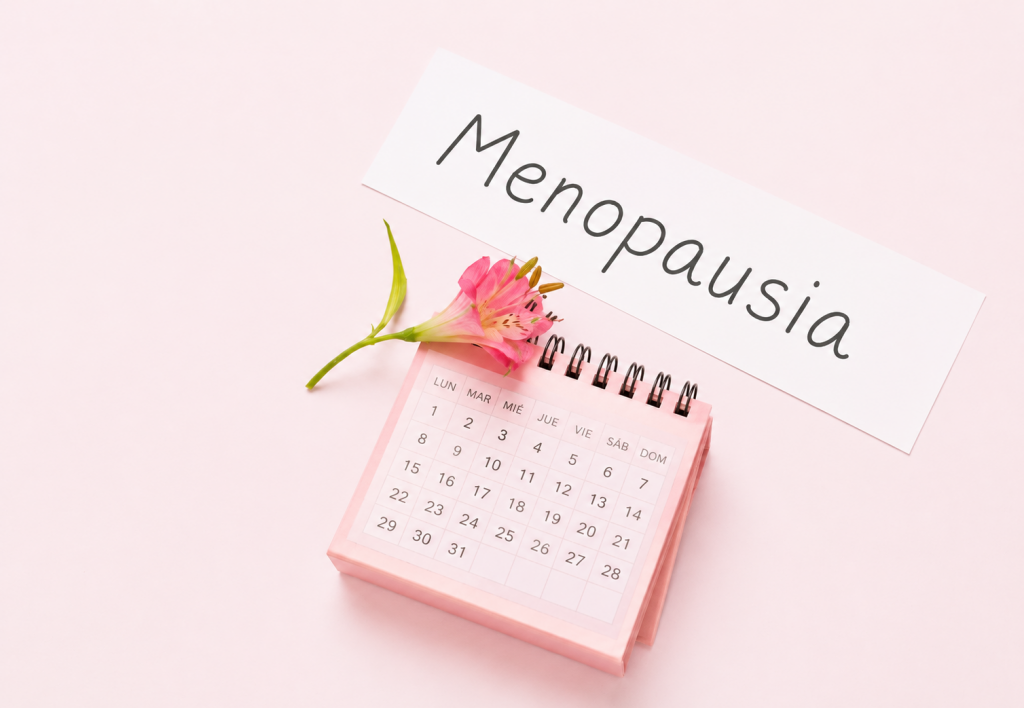Menopausia y probióticos
