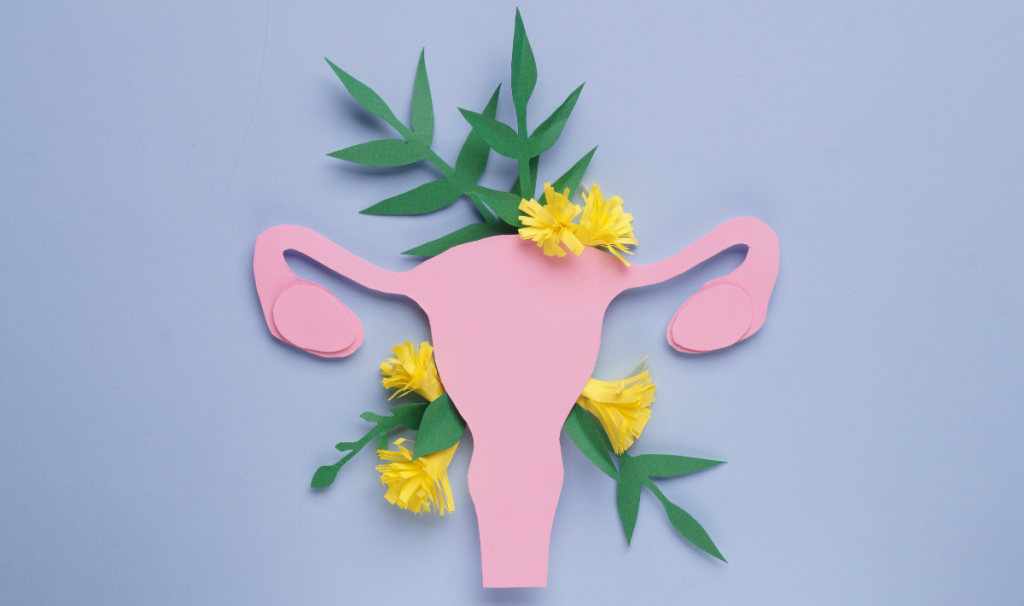 Retrouver l'équilibre de la flore vaginale / flore intime