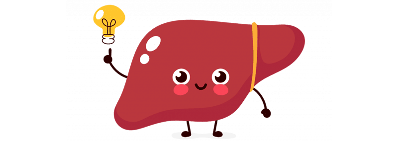 Foie et système immunitaire