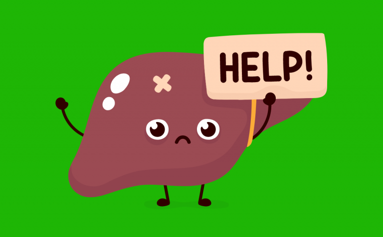 Maladies du foie : quel est le rôle du microbiote intestinal ?