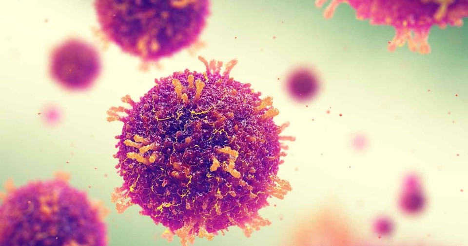 Antibiotiques et système immunitaire