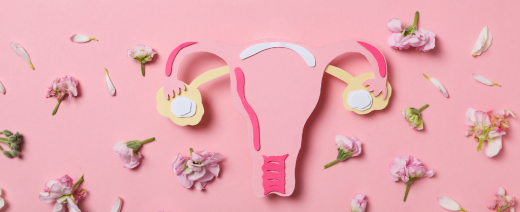 Probiotique pour maintenir l'équilibre de la flore vaginale