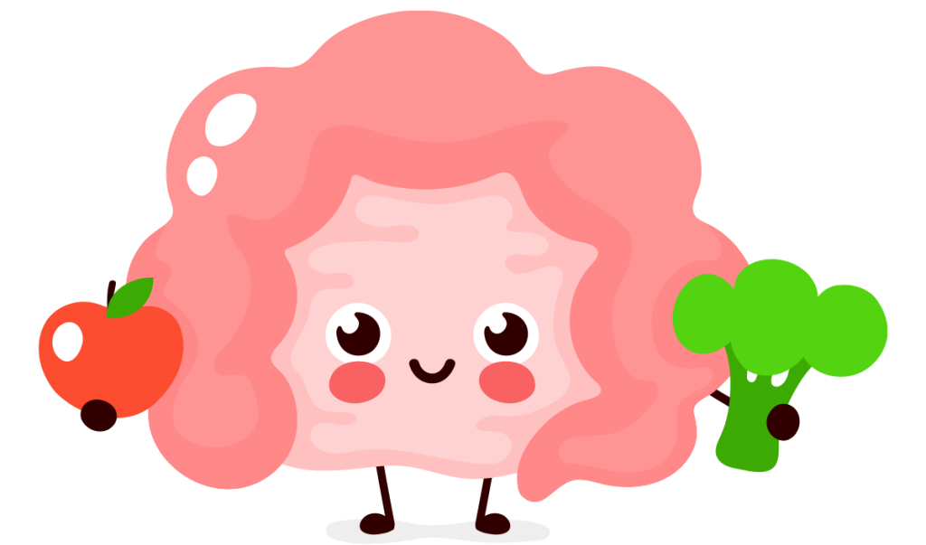 Une alimentation saine pour des intestins en bonne santé