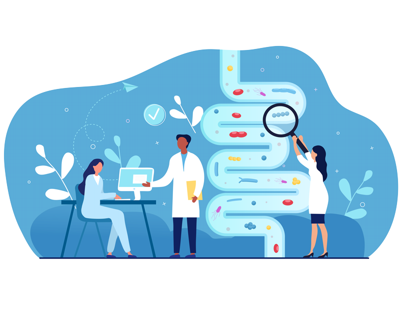 Les bactéries intestinales