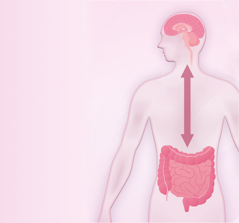 L'axe intestin-cerveau : c'est quoi ?