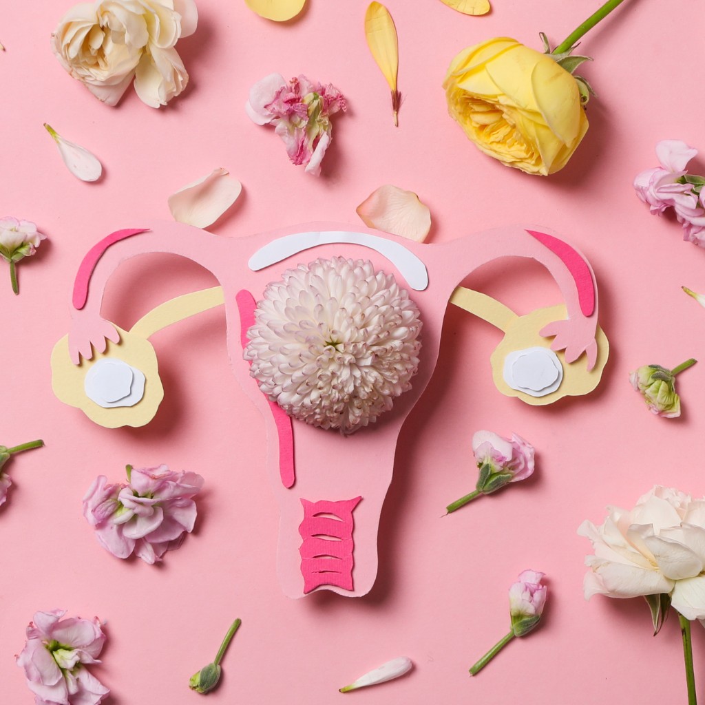 La santé des femmes : flore vaginale