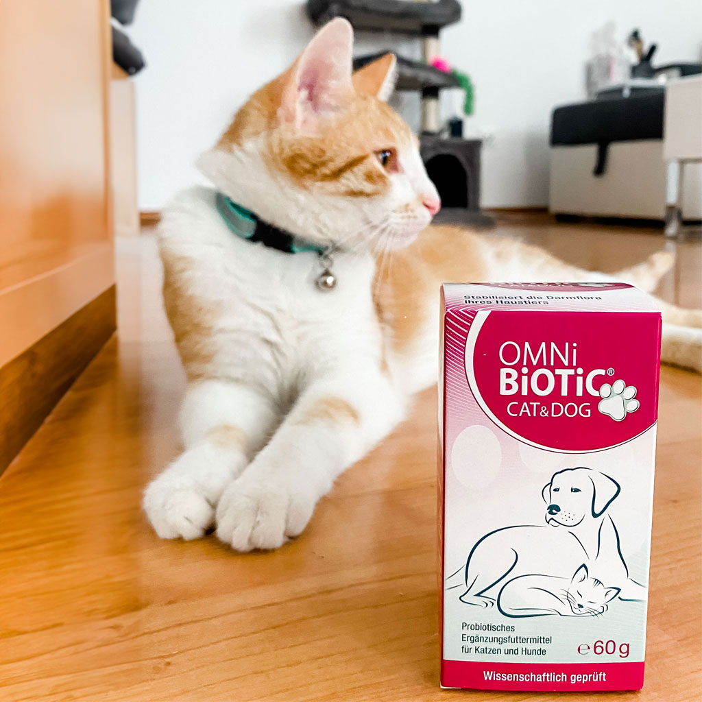 OMNi-BiOTiC Cat & Dog : un probiotique pour les chiens et les chats