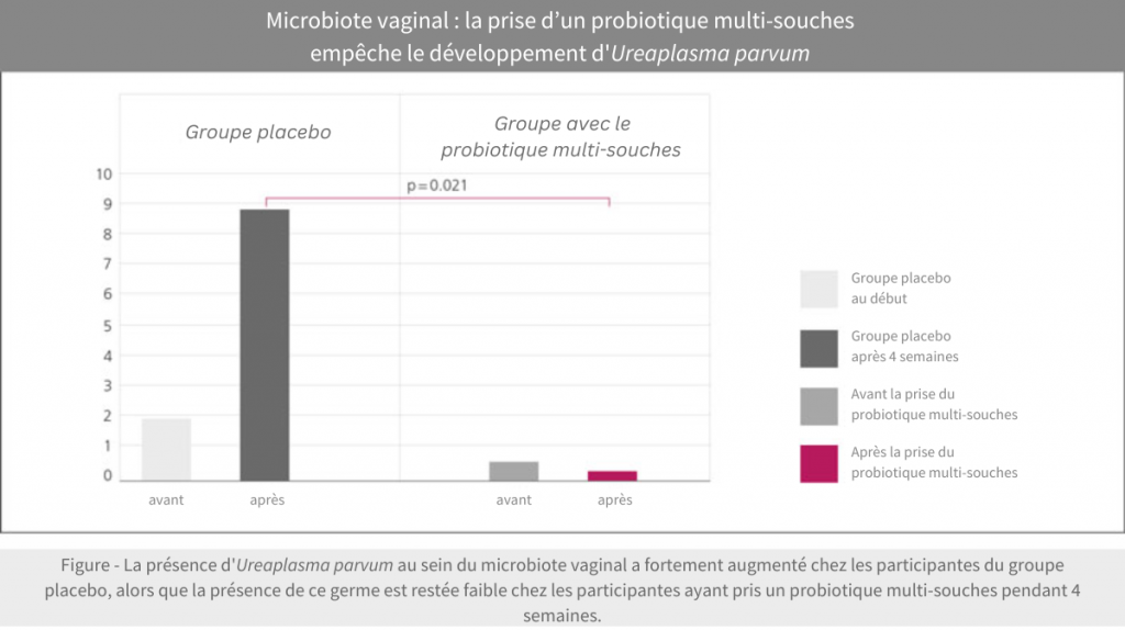 Une étude pour observer les effets d’un probiotique sur le microbiote vaginal