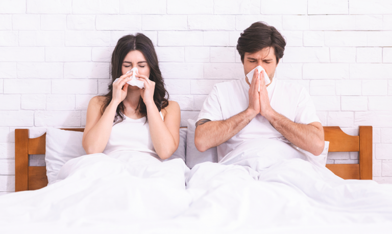 Allergie aux acariens : symptômes et conseils