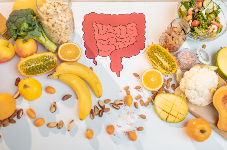 Alimentation riche en fibres : les bienfaits des fibres alimentaires sur la digestion, le transit et le microbiote intestinal