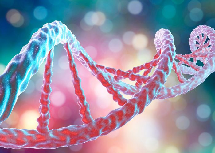 Les allergies et leurs causes