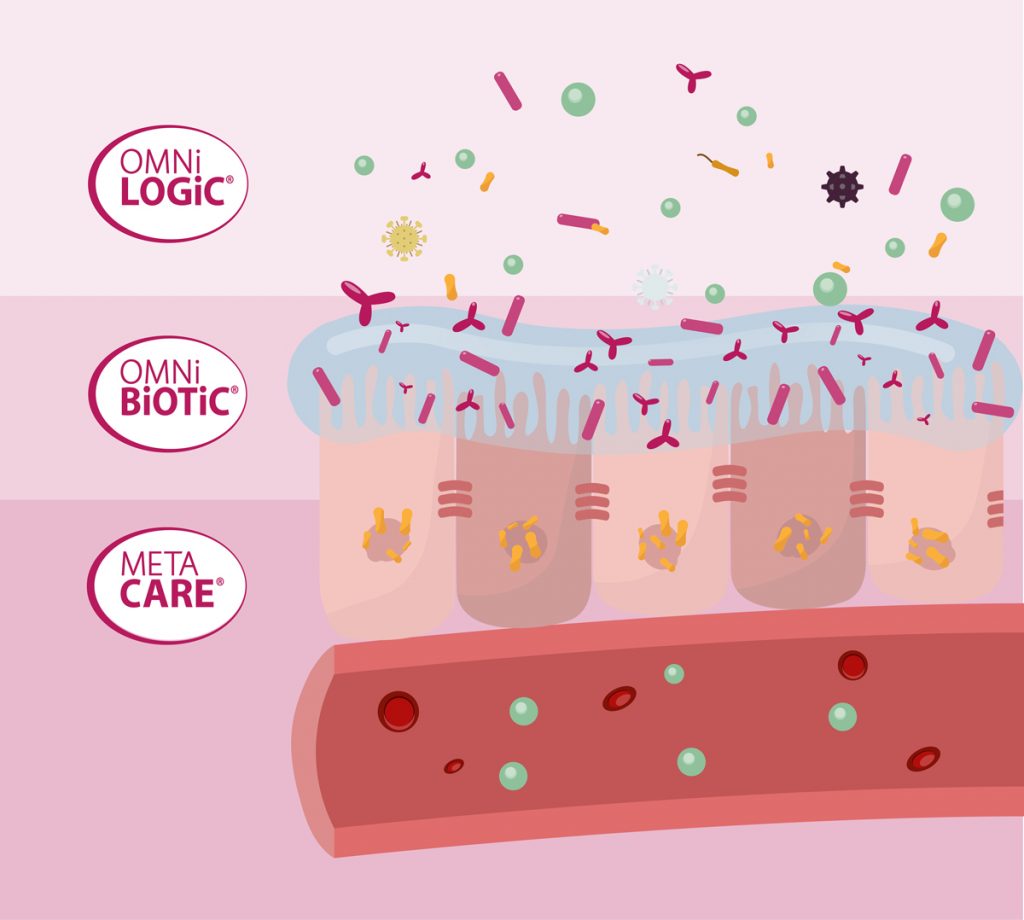 Notre concept en 3 étapes pour le bien-être de l'intestin