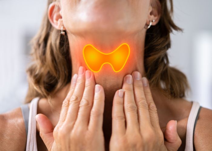 Thyroïdite de Hashimoto : causes, symptômes et traitement