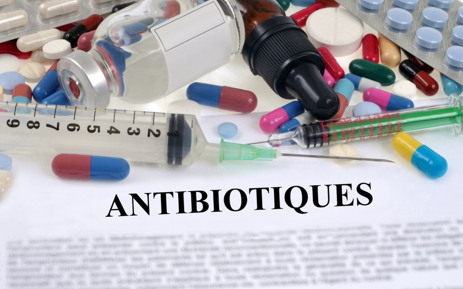 L’antibiorésistance : quand les antibiotiques perdent leur efficacité