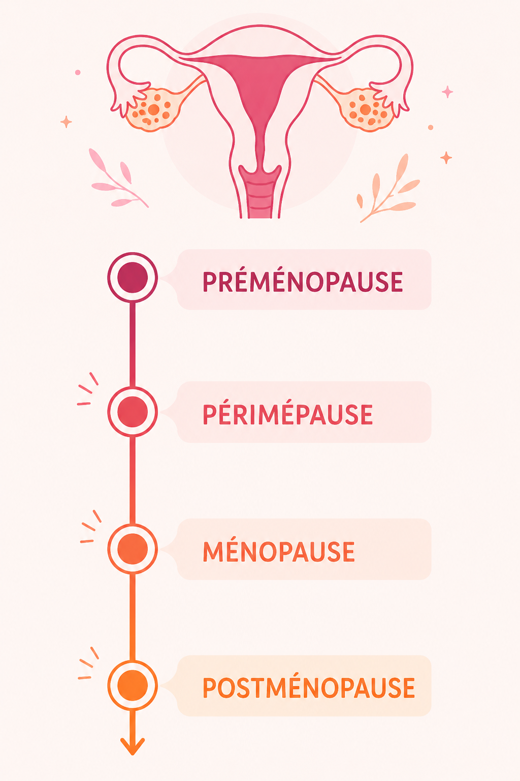 phases menopause