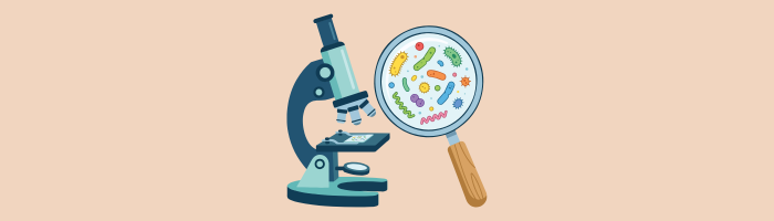 Pourquoi associer antibiotiques et probiotiques ?