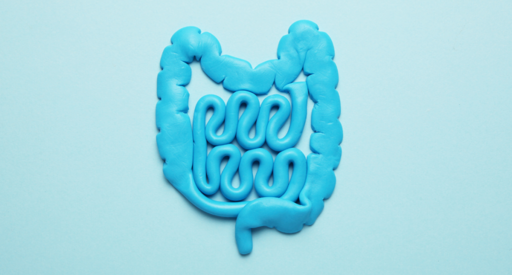 Áteresztő bél szindróma, melyik probiotikum, milyen kezelés, táplálkozás, terápia, omni-biotic, áteresztő bél szindróma, szivárgó bél szindróma, probiotikum, omni-biotic, atereszto bel szindroma, atereszto belszindroma, áteresztő bél szindróma probiotikum, atereszto belszindroma etrend, áteresztő bélszindróma