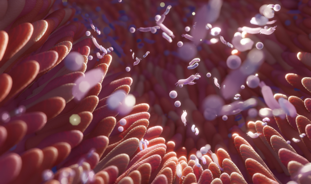 atereszto bel szindroma bakteriumok