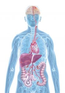 bel-agy-tengely, agy, agyműködés, agyműködés serkentése, depresszió, depressziós hangulat, depresszio, depreszió tünetei, depresszió teszt, depresszió jelei, depresszió ellen, szülés utáni depresszió, súlyos depresszió tünetei, bipoláris depresszió, legjobb antidepresszáns gyógyszer, szorongásos depresszió tünetei