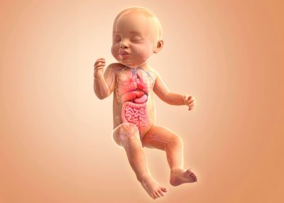 babák hangulata, csecsemők mikrobiomja, babák mikrobiomja, baba probiotikum, gyerek probiotikum