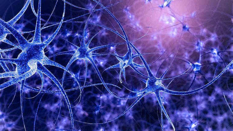 probiotici-migliori-stress