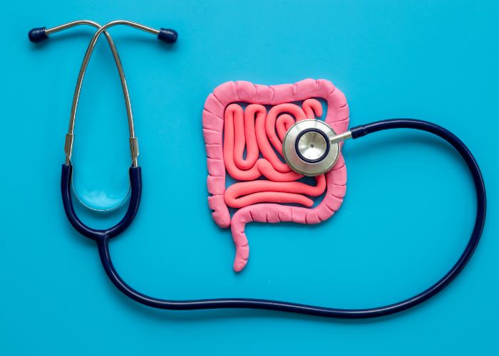 sistema immunitario-fermenti lattici-probiotici