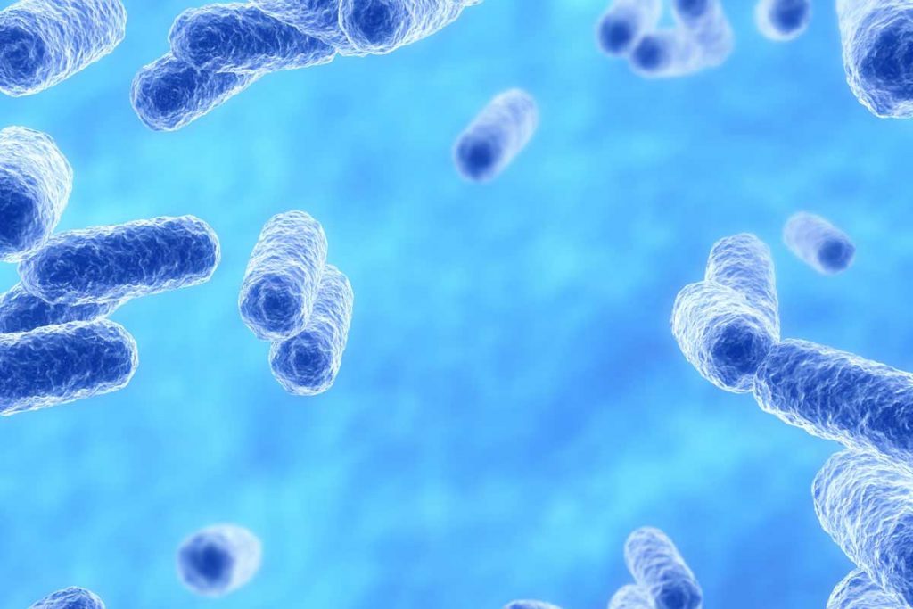 Akkermansia-muciniphila- alimenti