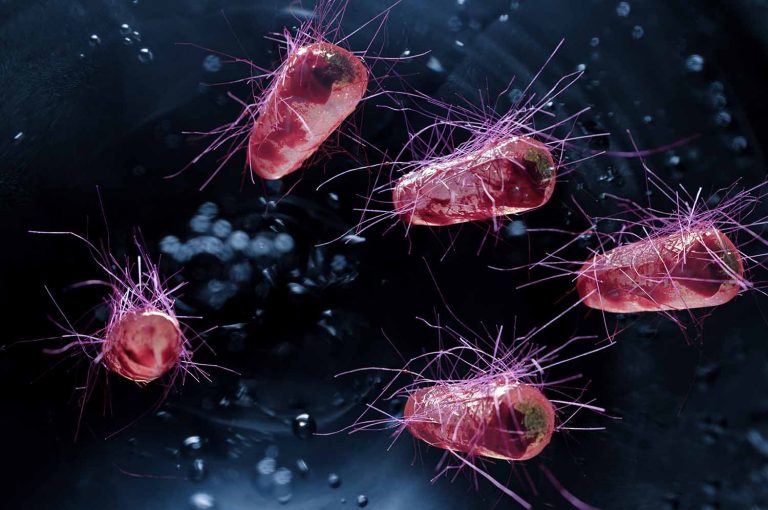 Ein österreichischer Arzt entdeckte das Bakterium Escherichia coli.