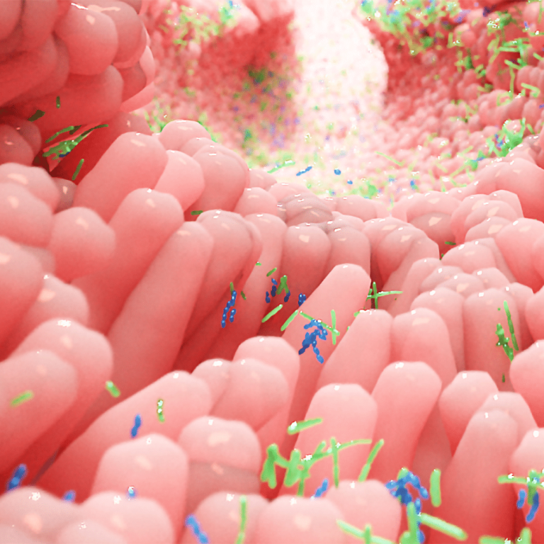 fermenti lattici_contro l'allergia