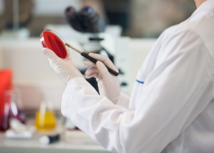 fermenti lattici testati scientificamente