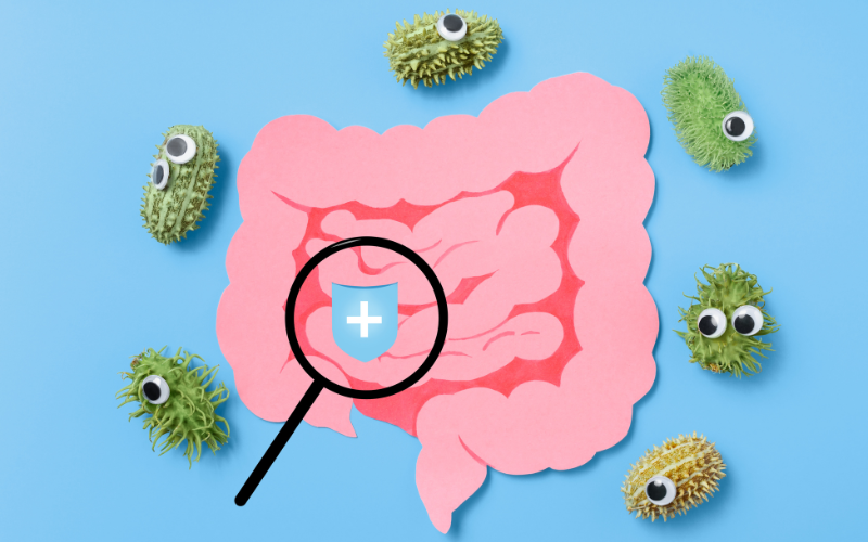 microbiota-sistema-immunitario