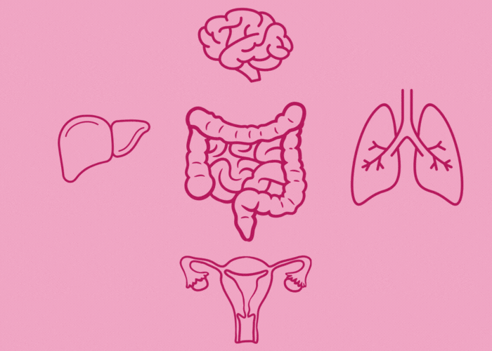asse-intestino-cervello