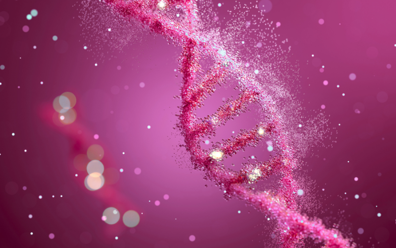 longevità-microbiota-probiotici