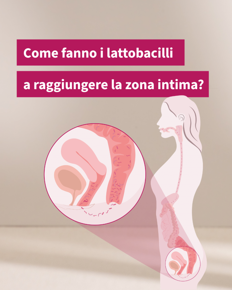 Lactobacillus-flora-vaginale