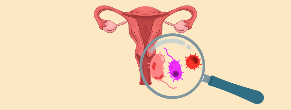 lattobacilli-lactobacillus-flora-vaginale-microbiota