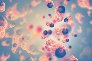 Krebs: Darmbakterien beeinflussen Erfolg der Immuntherapie