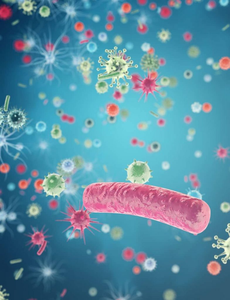 Darmmikrobiom: die Gesamtheit aller Mikroorganismen im Darm