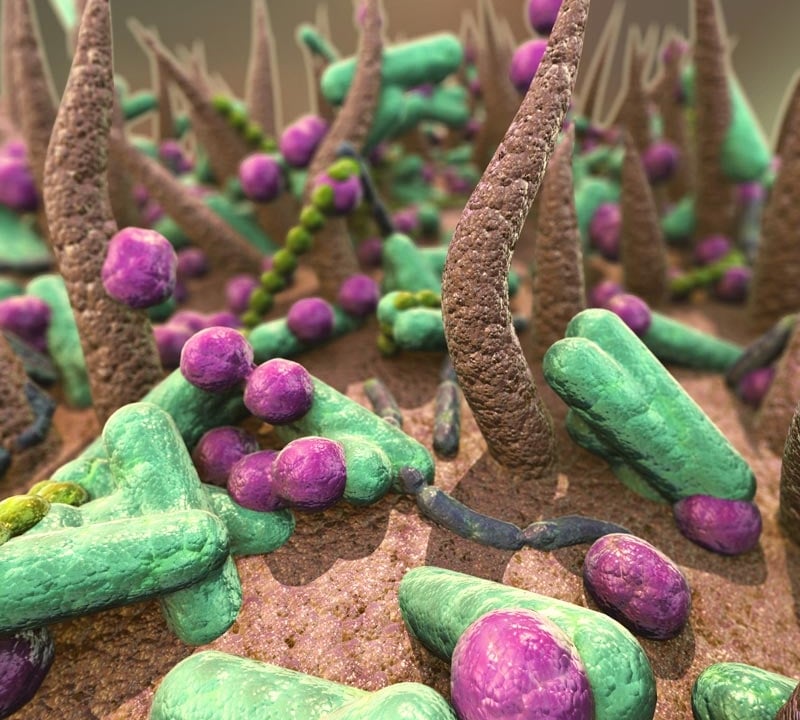 bakterie pracuju lepsie v time