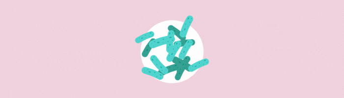 faecalibacterium prausnitzii