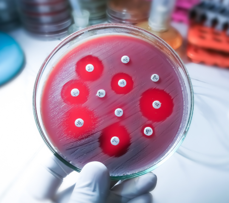 rezistencia na antibiotika