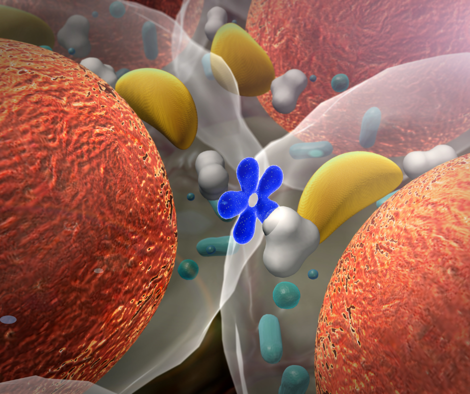 hormonalna nerovnovaha
