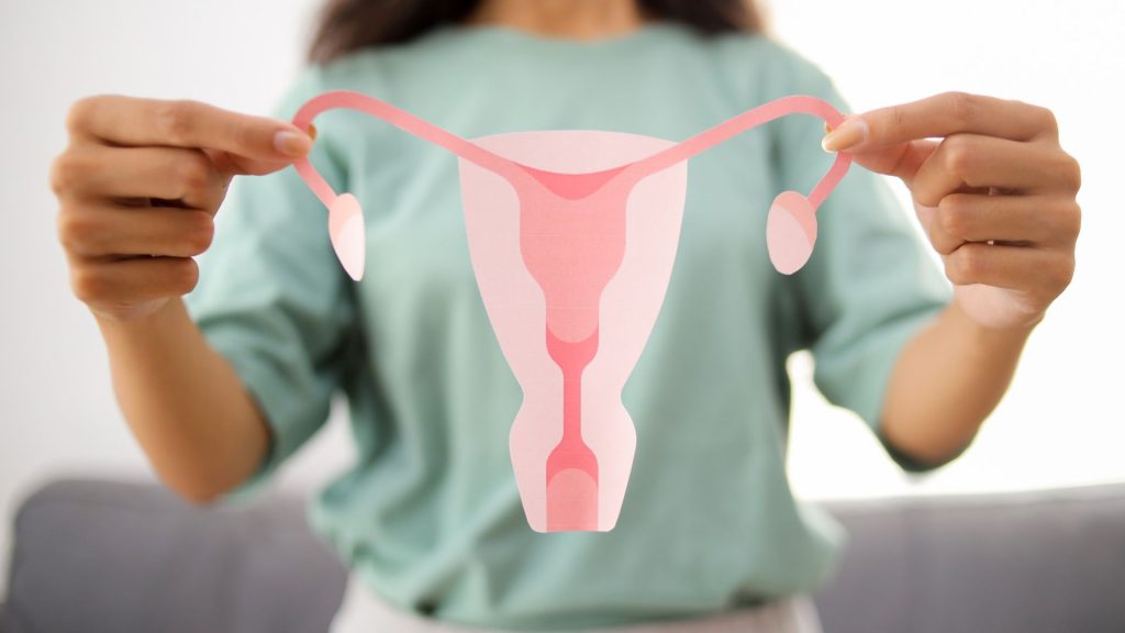 Perimenopauza 1 perimenopauza