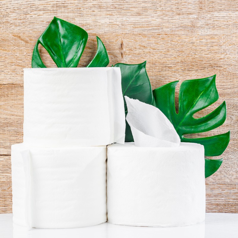 Driska, toaletni papir, razdražen želodec