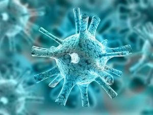 Wie unterscheidet das Immunsystem zwischen harmlosen und pathogenen Darmbakterien?